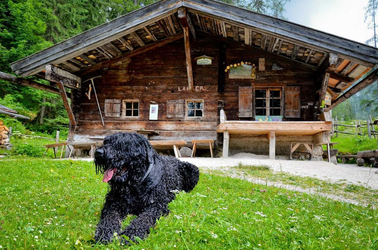 Pension Greti Schönau am Königssee 外观 照片